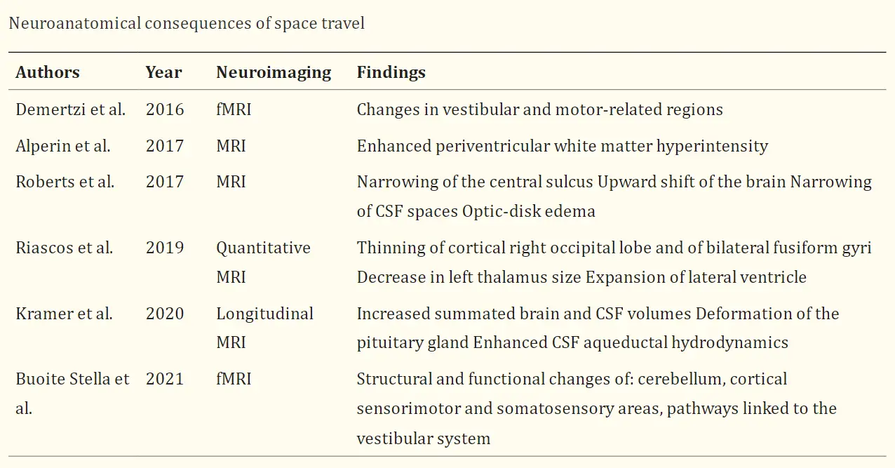 Neuroanatomical consequences of space travel